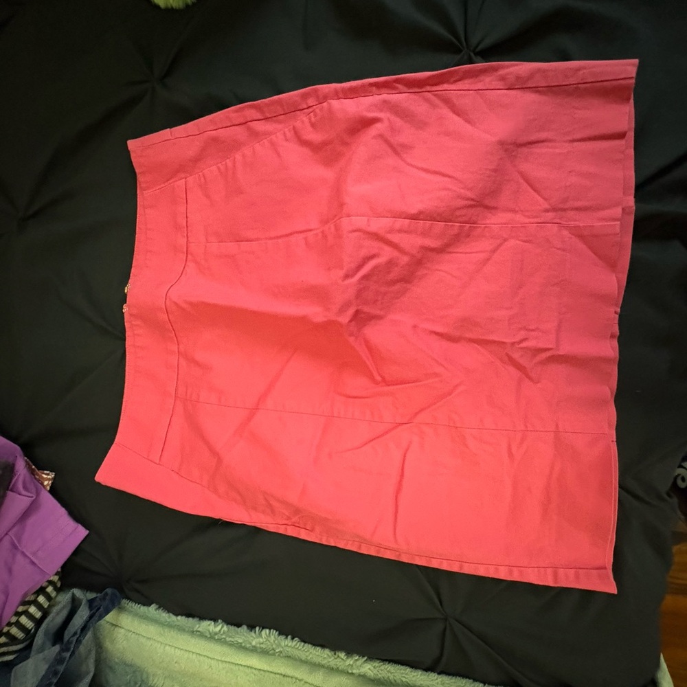 Ann Taylor Pink Skirt